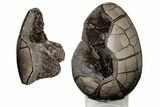 9.2" Septarian "Dragon Egg" Geode - Removable Section - #203829-3